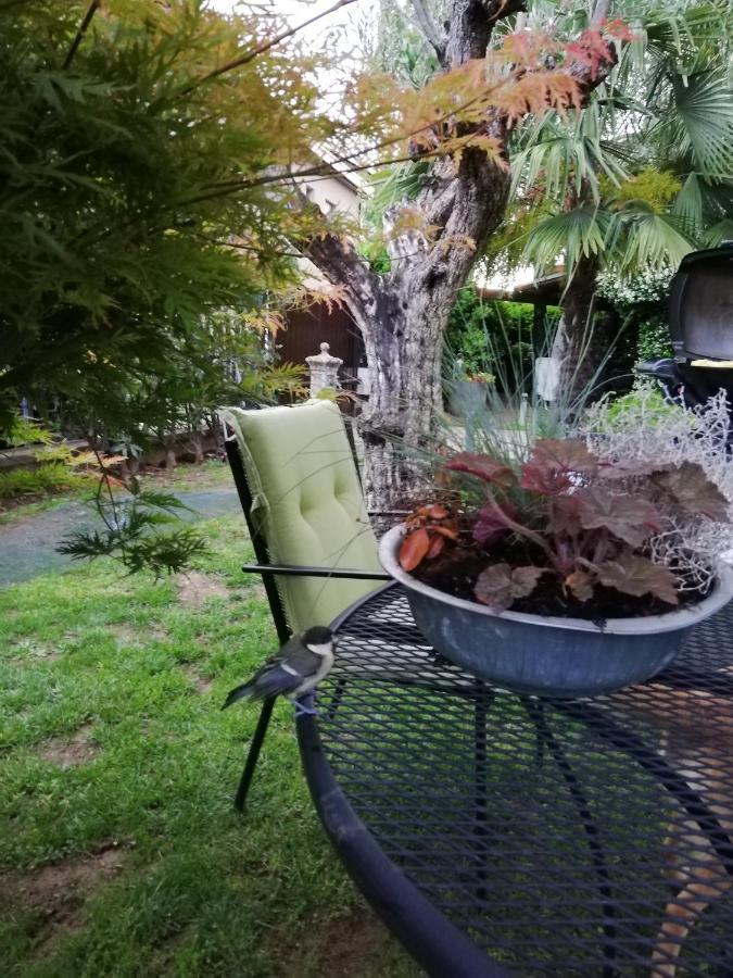 Bed and Breakfast Le Betulle Zanica Exterior foto